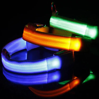 Glowing Safety LED Dog Collar BabyFour