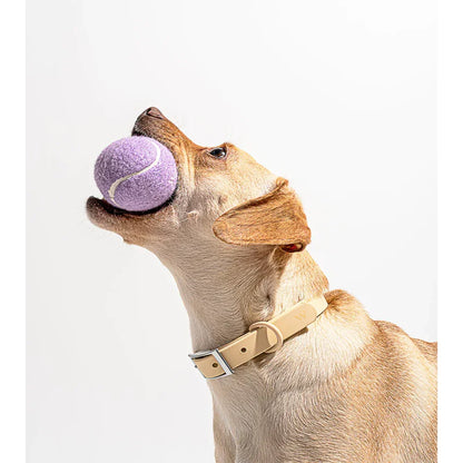 Tpr Tennis Cup Pet Dog Toy