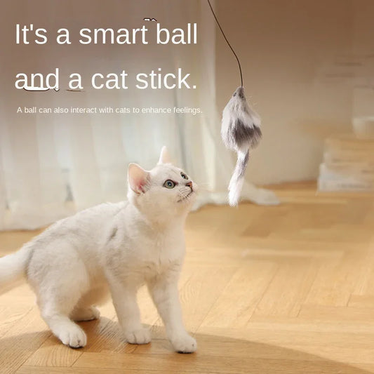Cat Toy Self-Entertainment Energy Consumption Mouse Teaser Wand Cat Exercise Electric Automatic Teasing Ball Cat Supplies