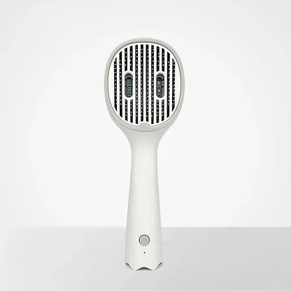 Pet UV Sterilization Comb USB Rechargeable Cat And Dog Comb Automatic Fading To Floating Hair Beauty Needle Comb