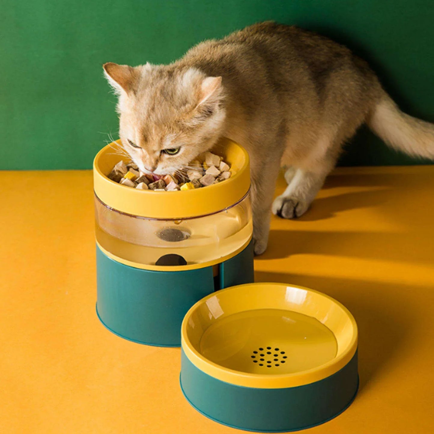 Dog Bowl Contrast Color Automatic Feeder Pet Bowl Increased Neck Protection Water Dispenser Dual-Purpose Dog Food Basin