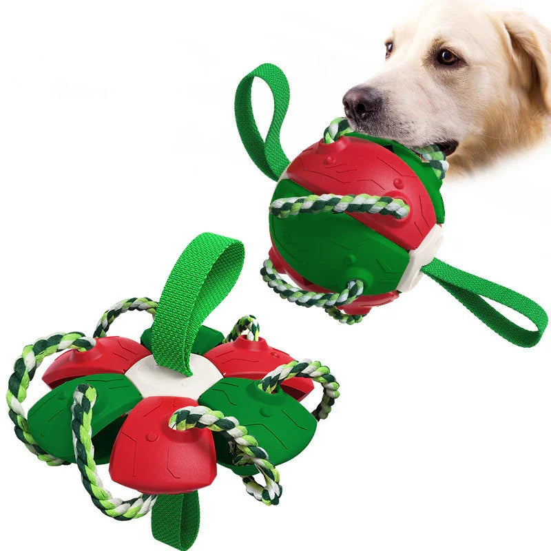Pet Supplies Throwing Frisbee Outdoor Training Interactive Frisbee Football Dog Toy
