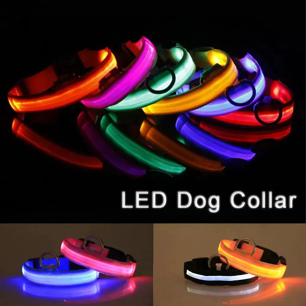 Glowing Safety LED Dog Collar BabyFour