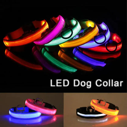 Glowing Safety LED Dog Collar BabyFour