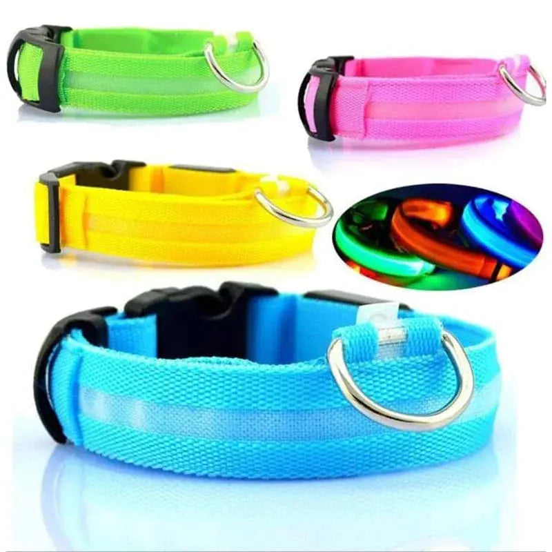 Glowing Safety LED Dog Collar BabyFour