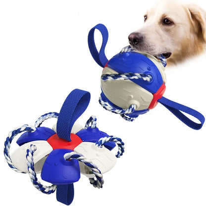 Pet Supplies Throwing Frisbee Outdoor Training Interactive Frisbee Football Dog Toy