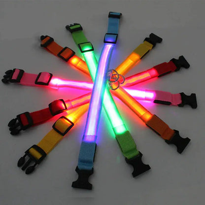 Glowing Safety LED Dog Collar BabyFour