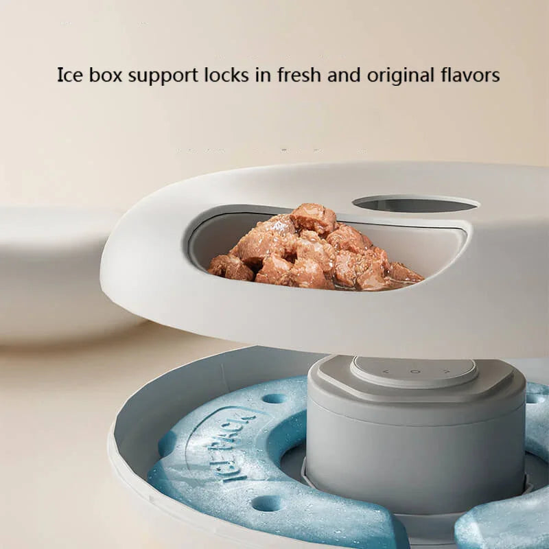 Paiwang 6-Meal Automatic Pet Feeding Device Cross border Spot Wholesale Wet Cat Food Cat Dog Timed Feeding Device