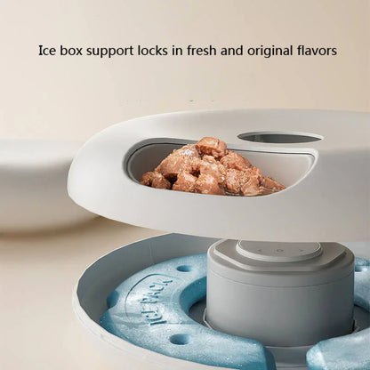 Paiwang 6-Meal Automatic Pet Feeding Device Cross border Spot Wholesale Wet Cat Food Cat Dog Timed Feeding Device