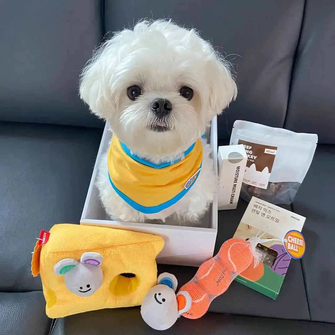 Cheese Mouse Squeak Toy BabyFour