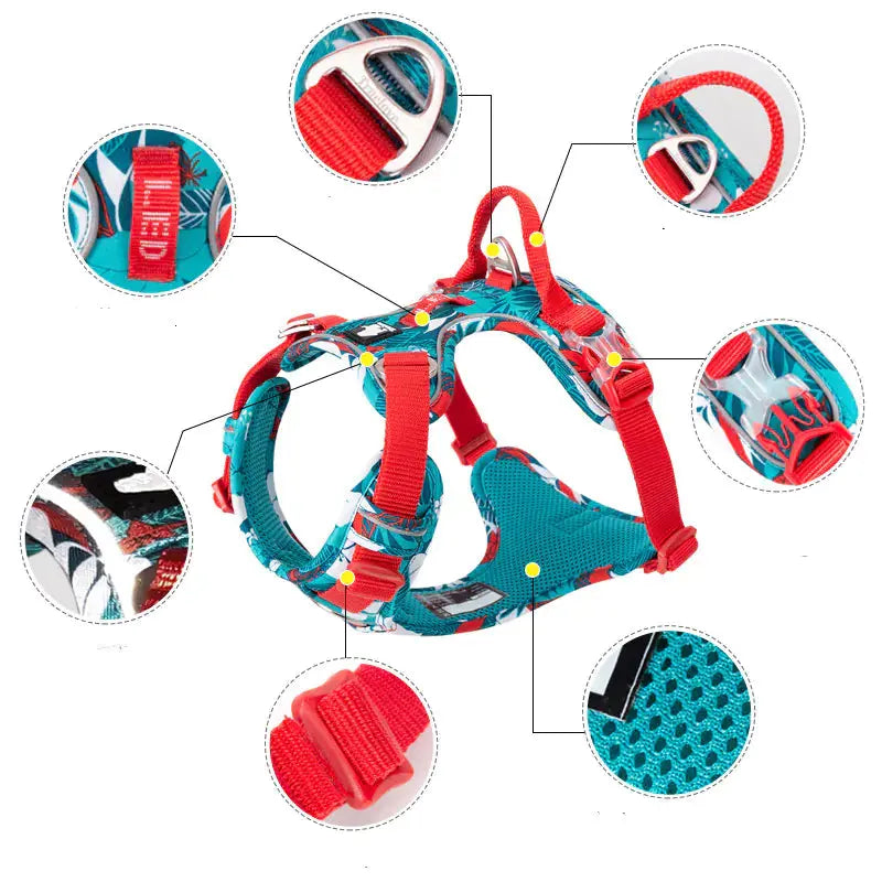 ComfortWalk Harness and Leash Set for Dogs BabyFour