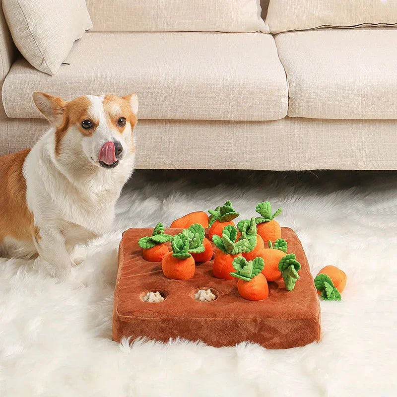 Pull Radish Plush Toy Pet Chewing Doll Fruit Vegetable Field Picking Mushrooms Early Education