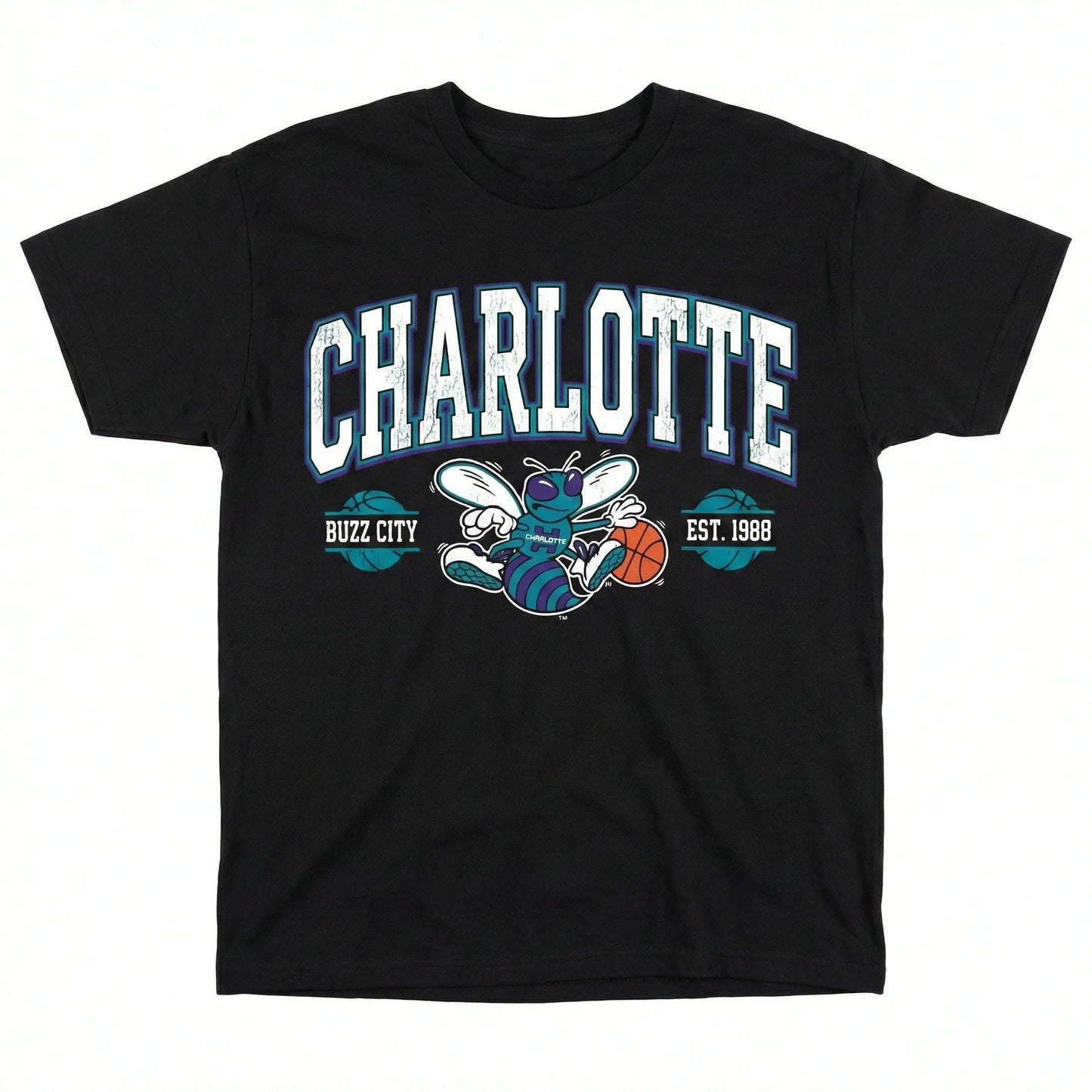 Black t-shirt with Charlotte Hornets logo, cartoon hornet, and basketball graphic.