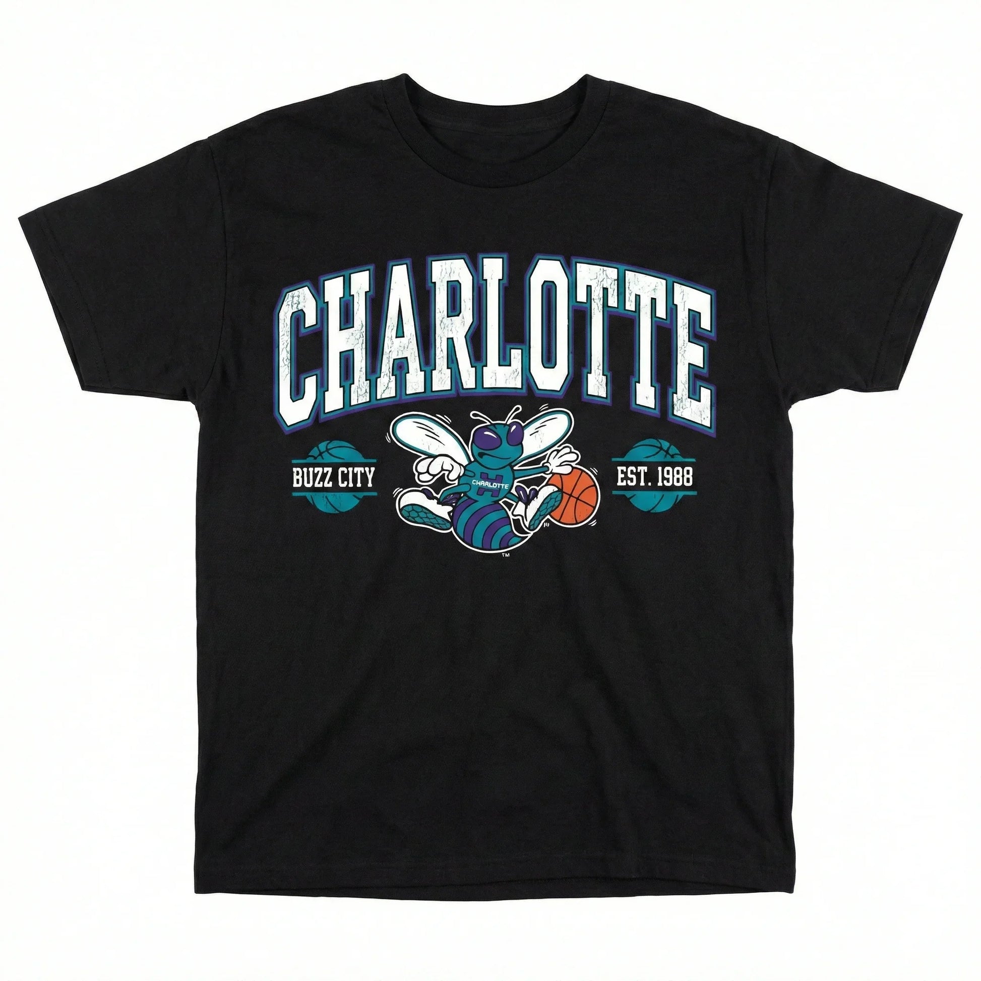 Black t-shirt with Charlotte Hornets logo, cartoon hornet, and basketball graphic.