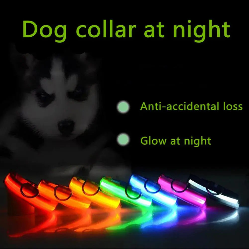 Glowing Safety LED Dog Collar BabyFour