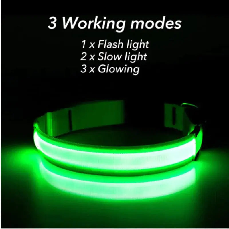 Glowing Safety LED Dog Collar BabyFour
