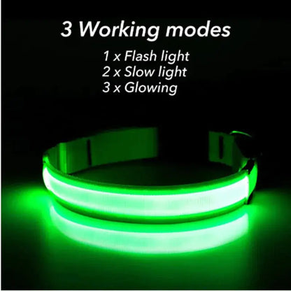 Glowing Safety LED Dog Collar BabyFour