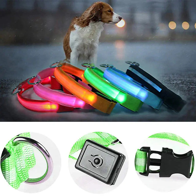 Glowing Safety LED Dog Collar BabyFour
