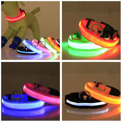 Glowing Safety LED Dog Collar BabyFour