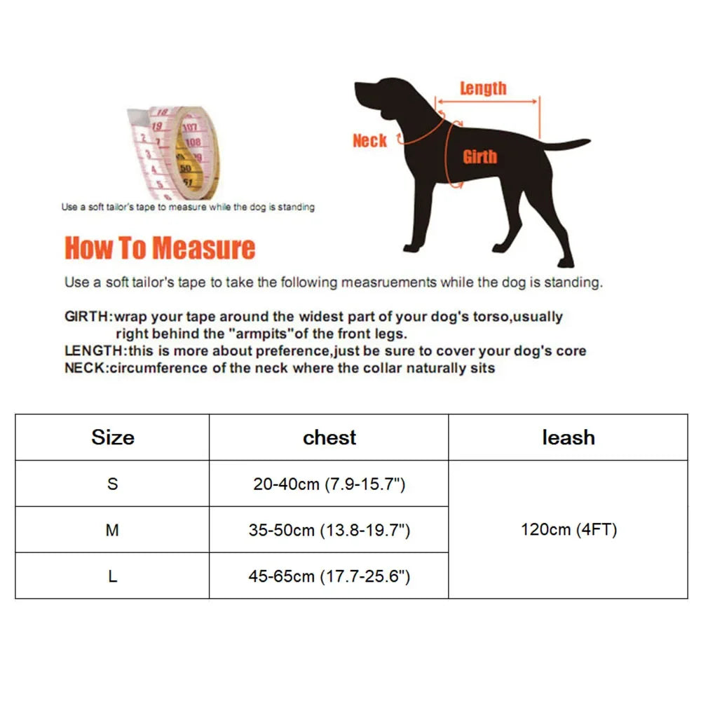 Small Dog Harness and Leash Set Pet Cat Vest Harness with Bowknot Mesh Padded Pet Leads for Small Puppy Dogs Chihuahua Yorkie