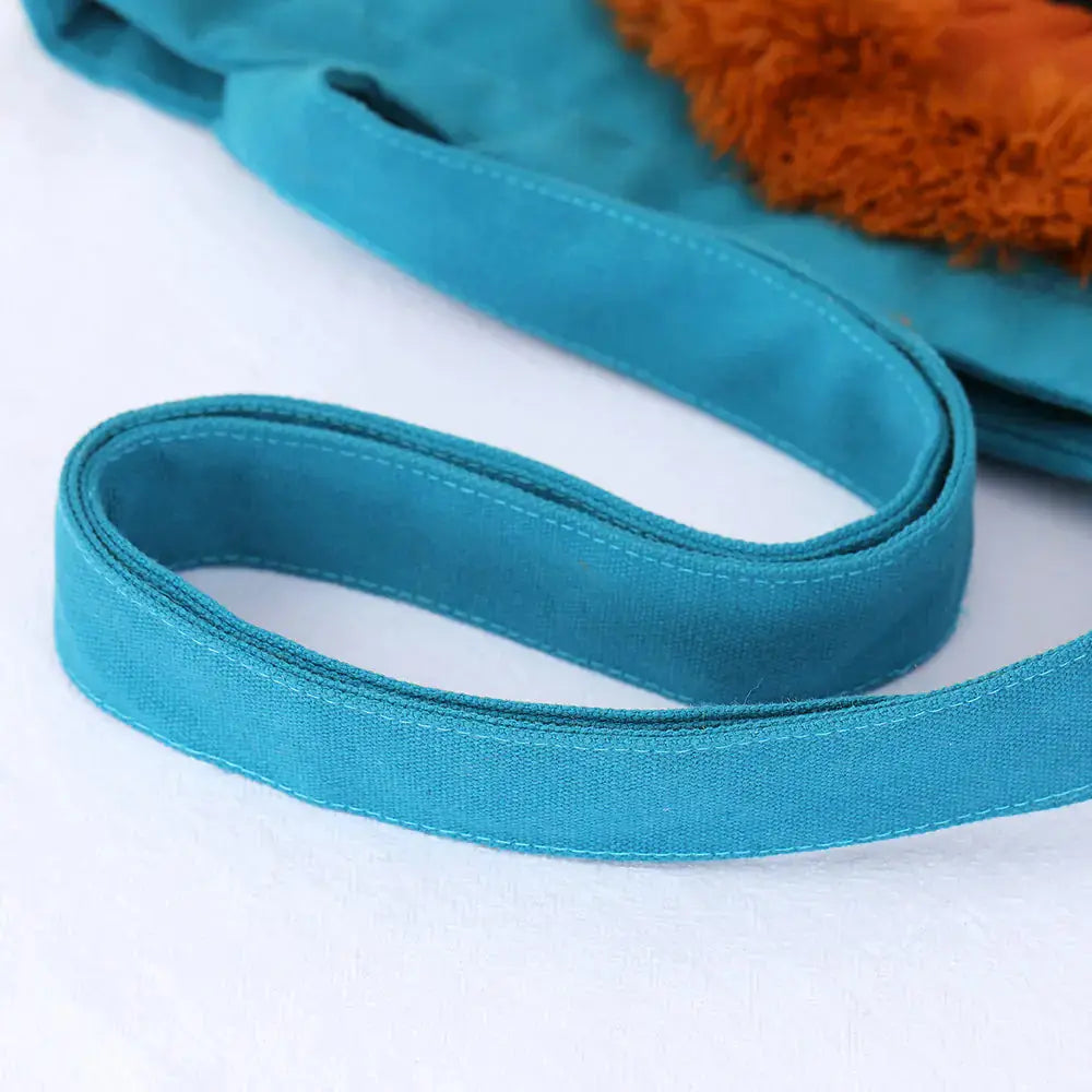 Lion Crest Soft Travel Pet Bag BabyFour