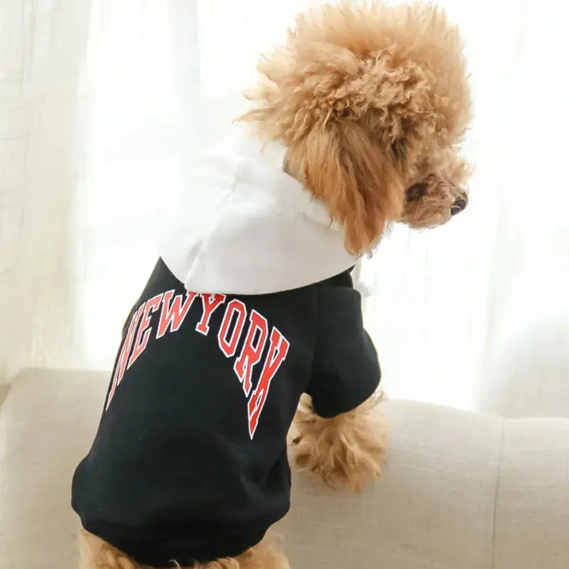 Terry Cotton Pet Hoodie BabyFour
