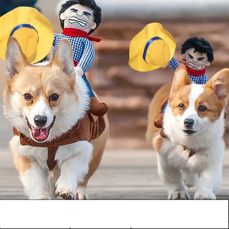 Whimsical Lion Outfit for Pets BabyFour