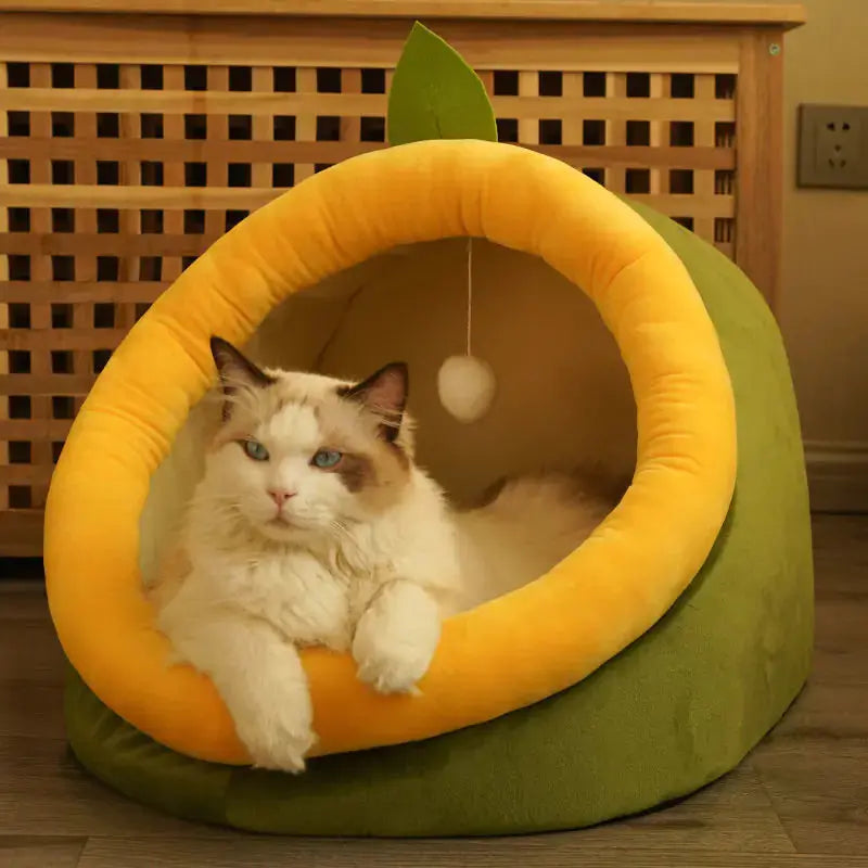 Winter-Ready Semi-Enclosed Cat Bed for All Seasons BabyFour
