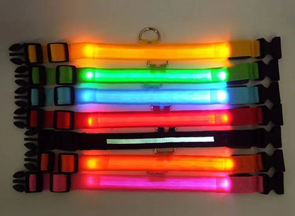 Glowing Safety LED Dog Collar BabyFour