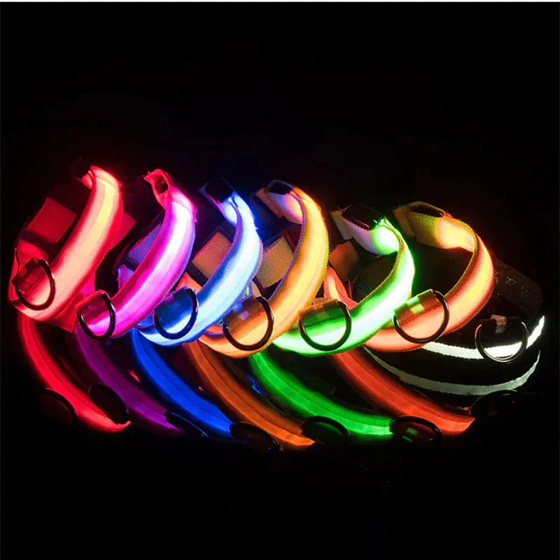 Glowing Safety LED Dog Collar BabyFour