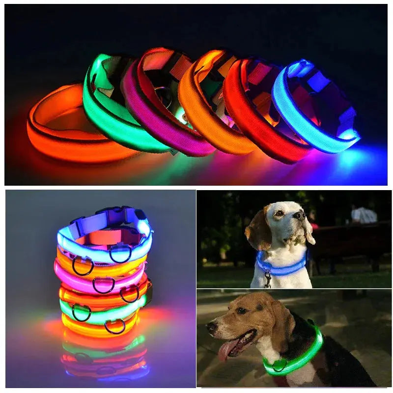 Glowing Safety LED Dog Collar BabyFour