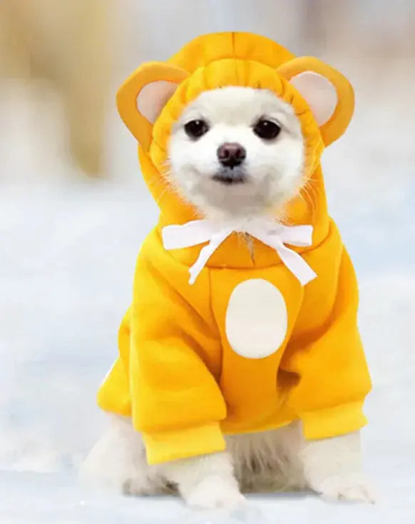 Pet Hoodies My Store