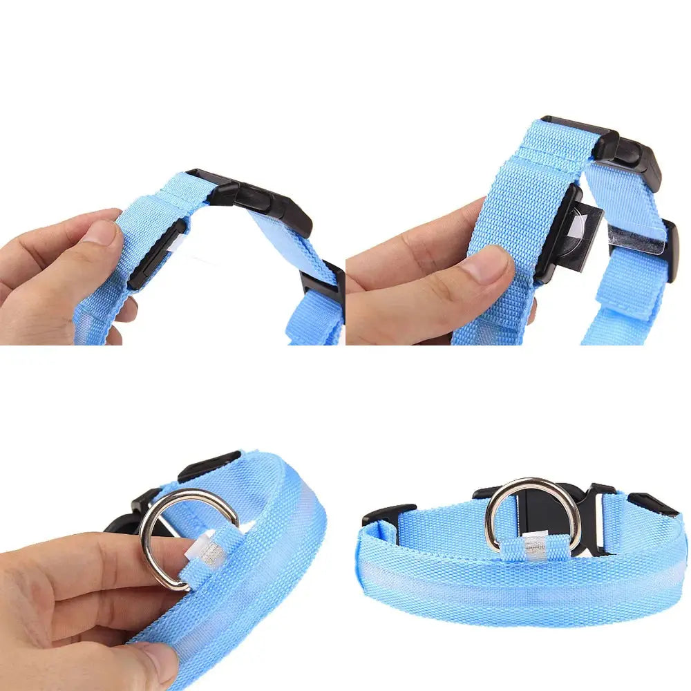 Glowing Safety LED Dog Collar BabyFour