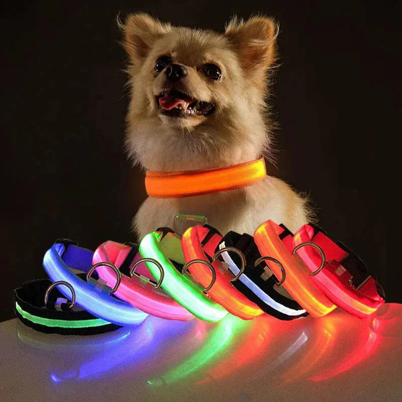 Glowing Safety LED Dog Collar BabyFour