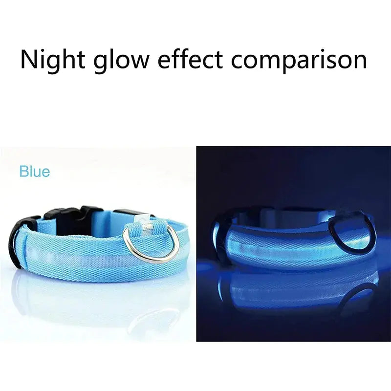 Glowing Safety LED Dog Collar BabyFour